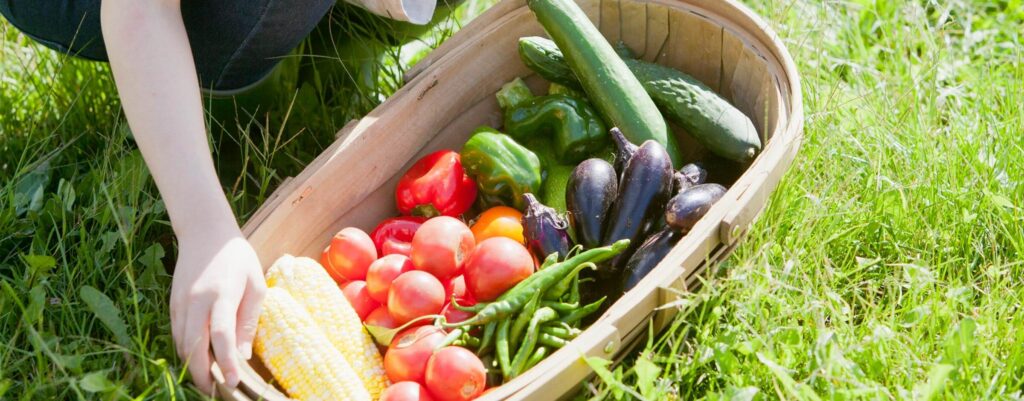 今こそ夏バテ対策にぴったりな 「夏野菜」を取り入れよう！