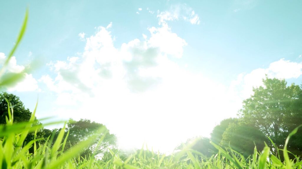 高温多湿の日本の夏！マスク下の肌トラブルに要注意！