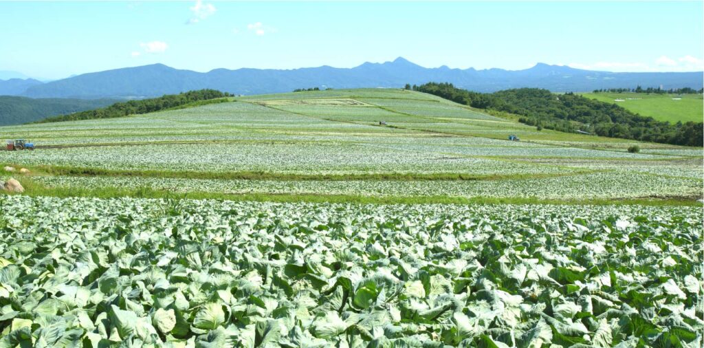 周囲を海に囲まれ、国土の75％を山地が占める日本。