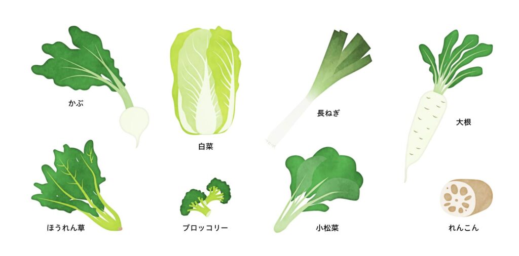 代表的な冬野菜