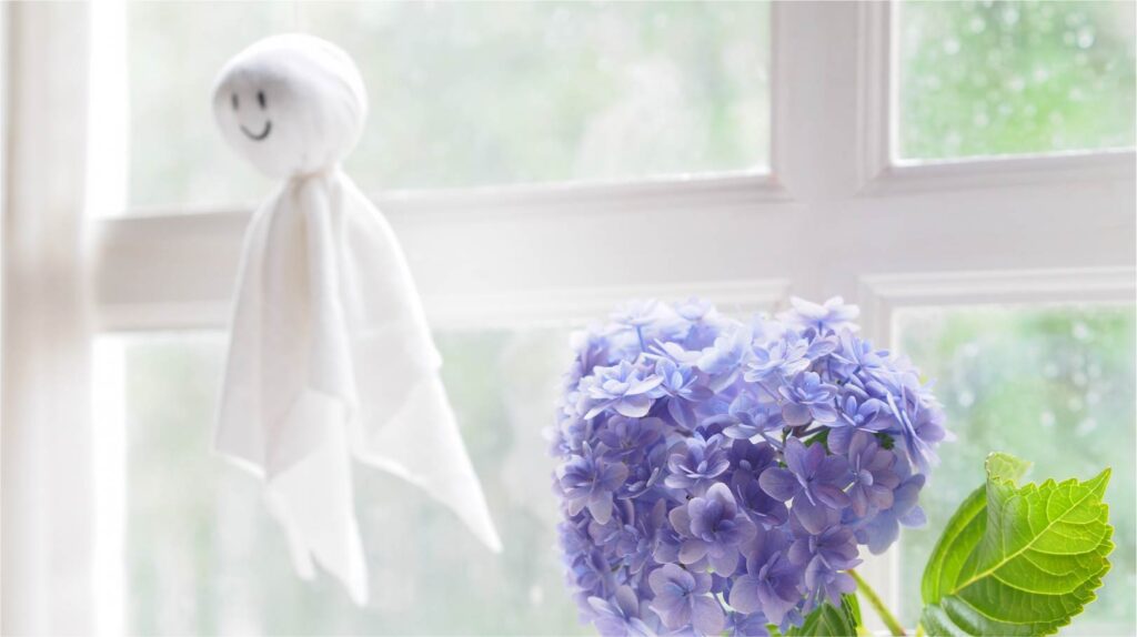 本当に当たるの?先人の知恵「観天望気」が面白い!