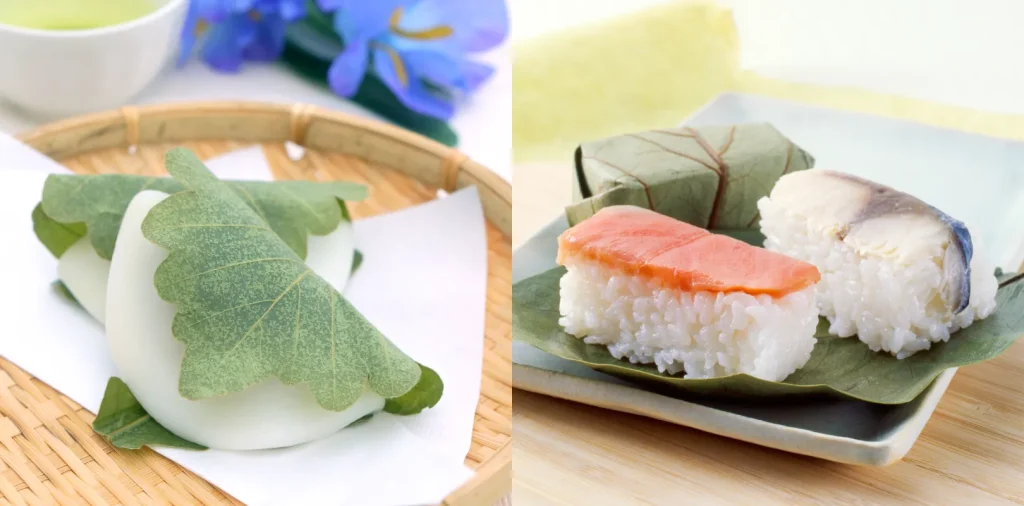 柏餅と葉寿司